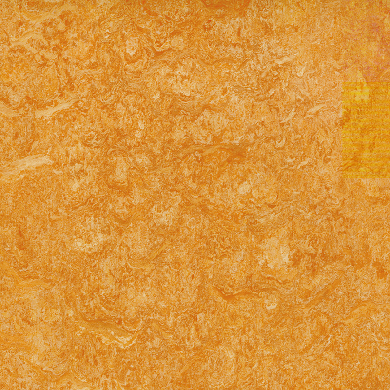 Rezistență la pete și pardoseală eterogene la preț redus