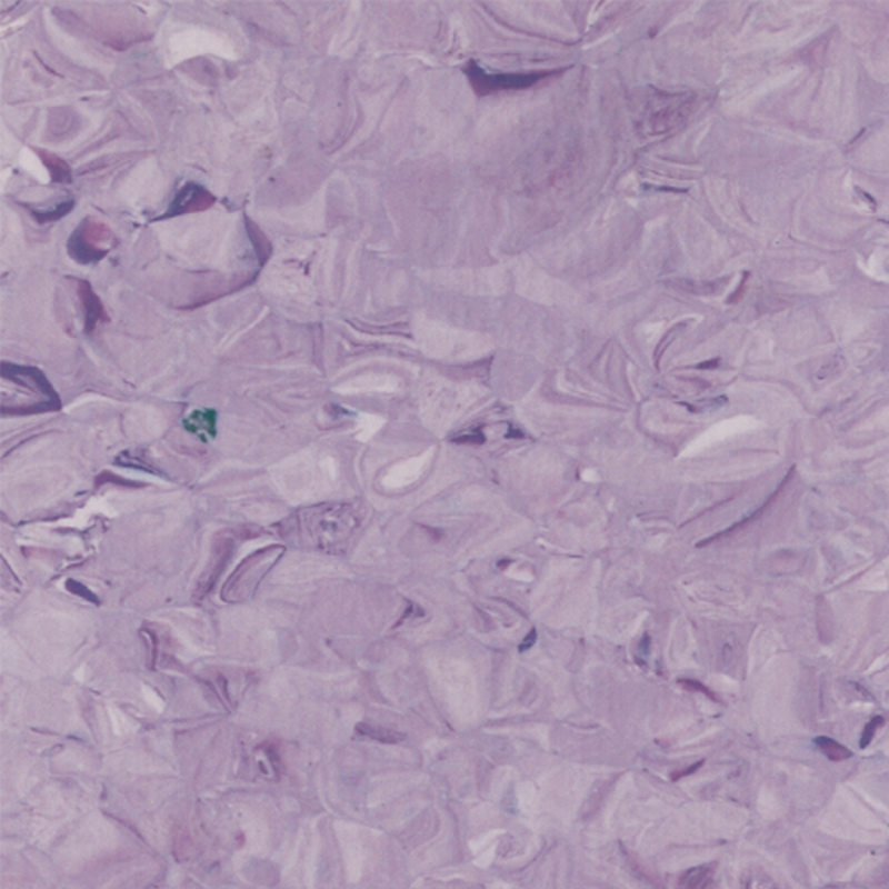 perfectbalance pardoseală omogenă