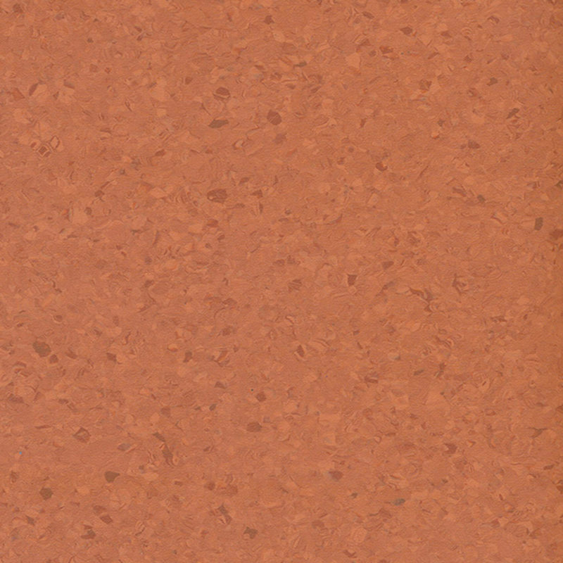 Pardoseală omogenă multicoloră