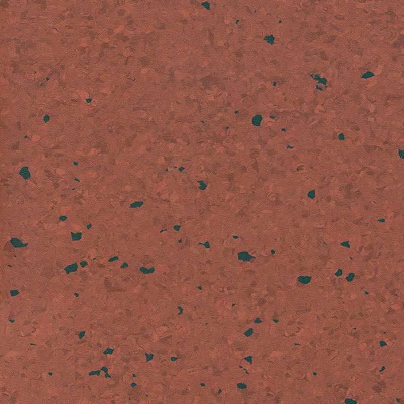 Pardoseală omogenă multicoloră