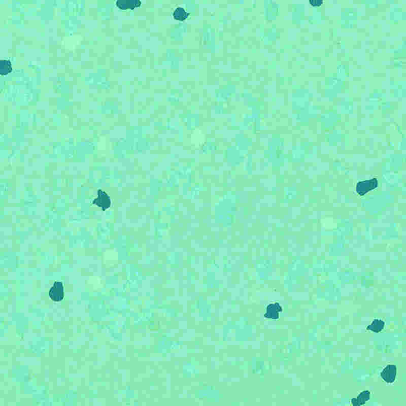 Pardoseală din cauciuc rezistentă la zgârieturi și elasticitate ridicată