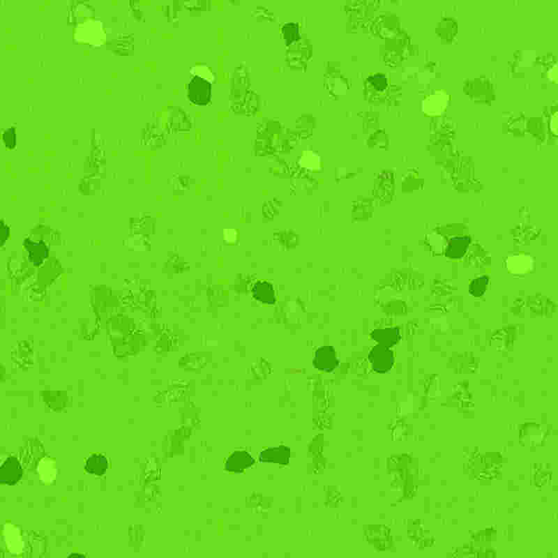 Pardoseală din cauciuc rezistentă la zgârieturi și elasticitate ridicată