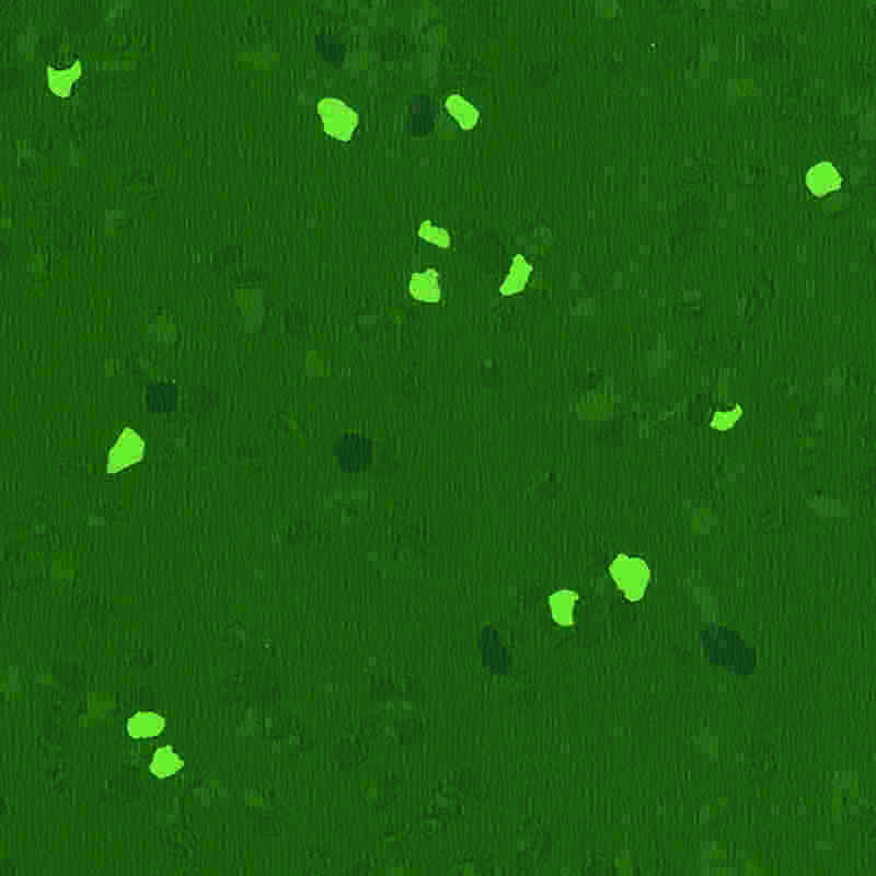 Pardoseală din cauciuc rezistentă la zgârieturi și elasticitate ridicată