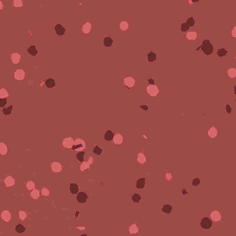 Pardoseală din cauciuc și plastic ignifugă și rezistentă la apă