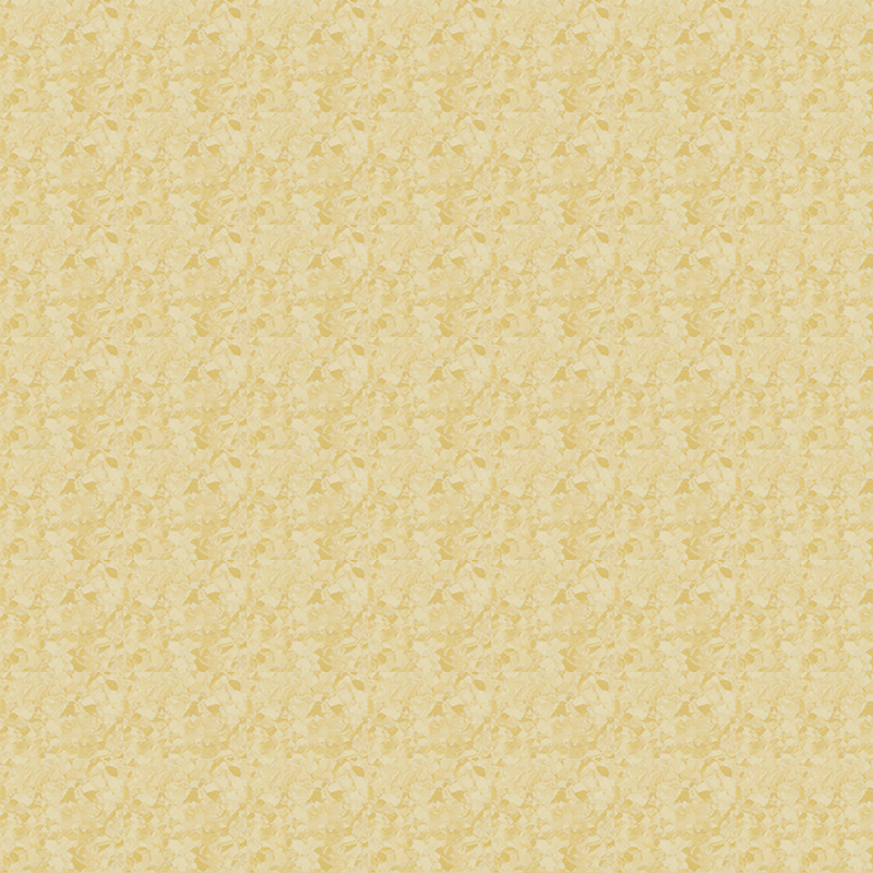 Pardoseală omogenă rezistentă la zgârieturi și uzură