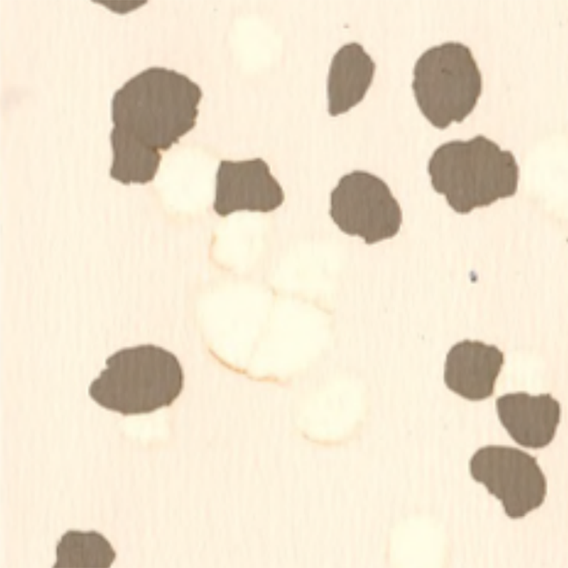 Pardoseală din cauciuc anti-alunecare și rezistentă la zgârieturi