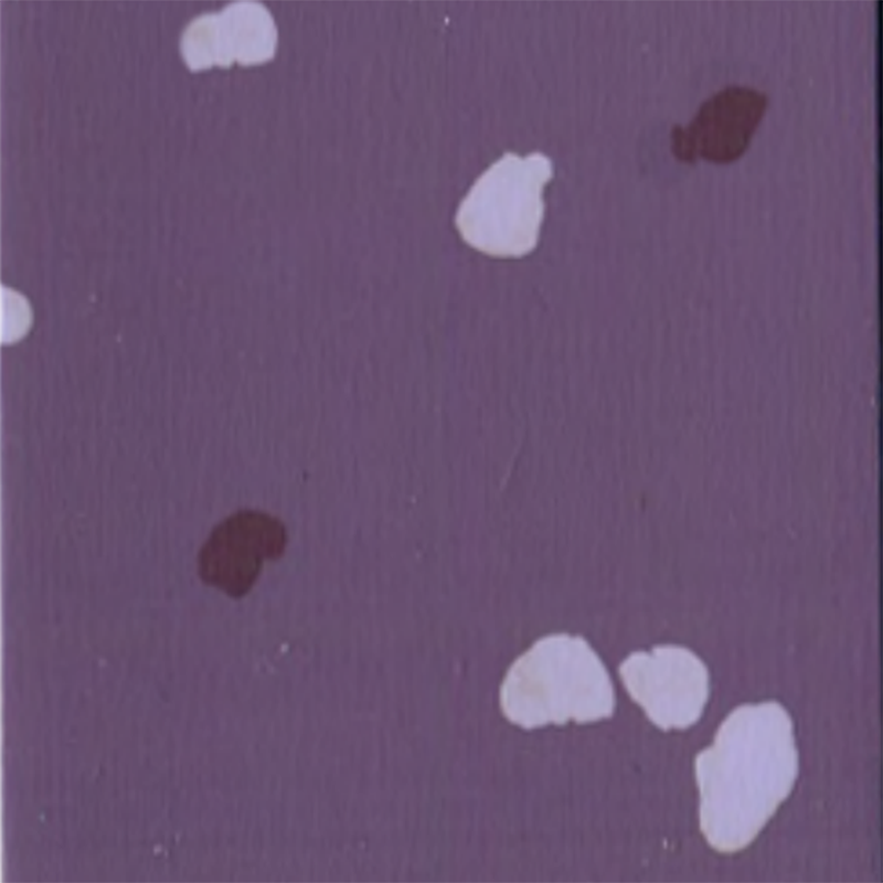 Pardoseală din cauciuc anti-alunecare și rezistentă la zgârieturi