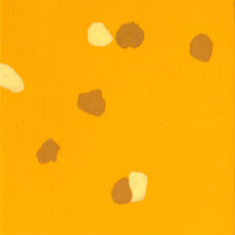 Pardoseală din cauciuc anti-alunecare și rezistentă la zgârieturi