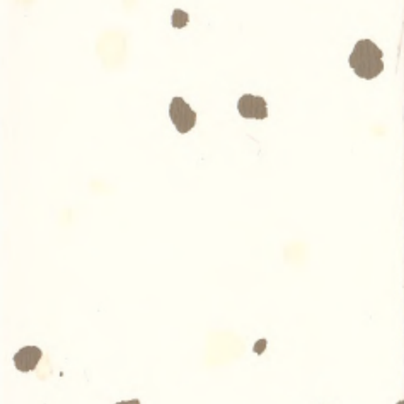 Pardoseală din cauciuc ecologic