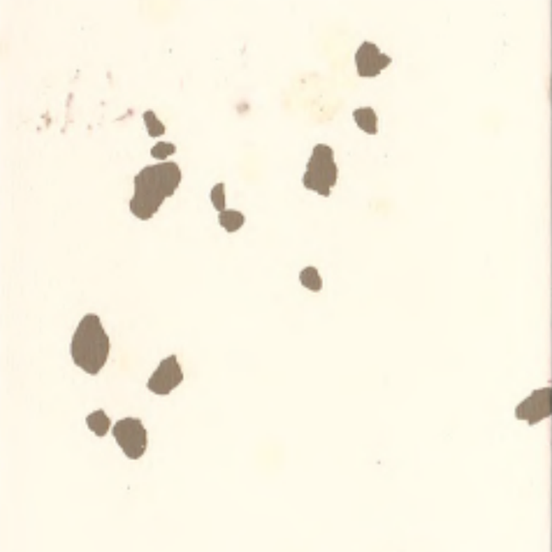 Pardoseală din cauciuc ecologic